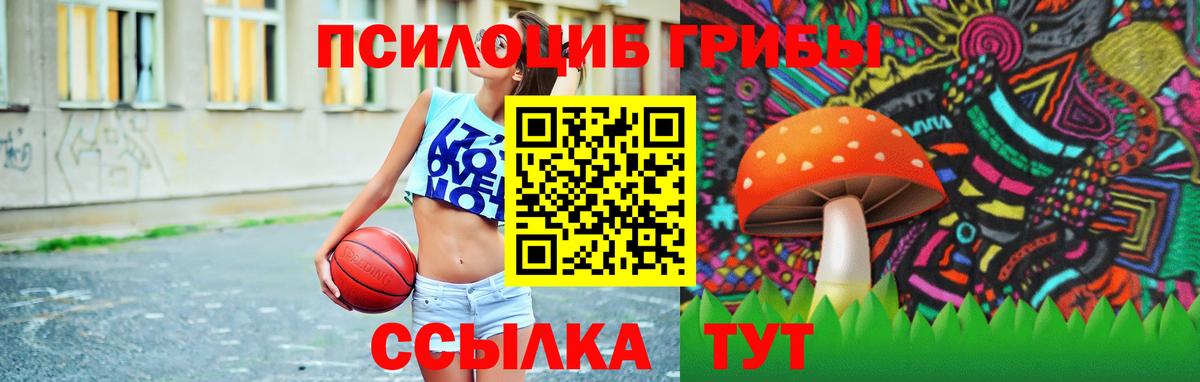 Псилоцибиновые грибы Magic Shrooms Уссурийск
